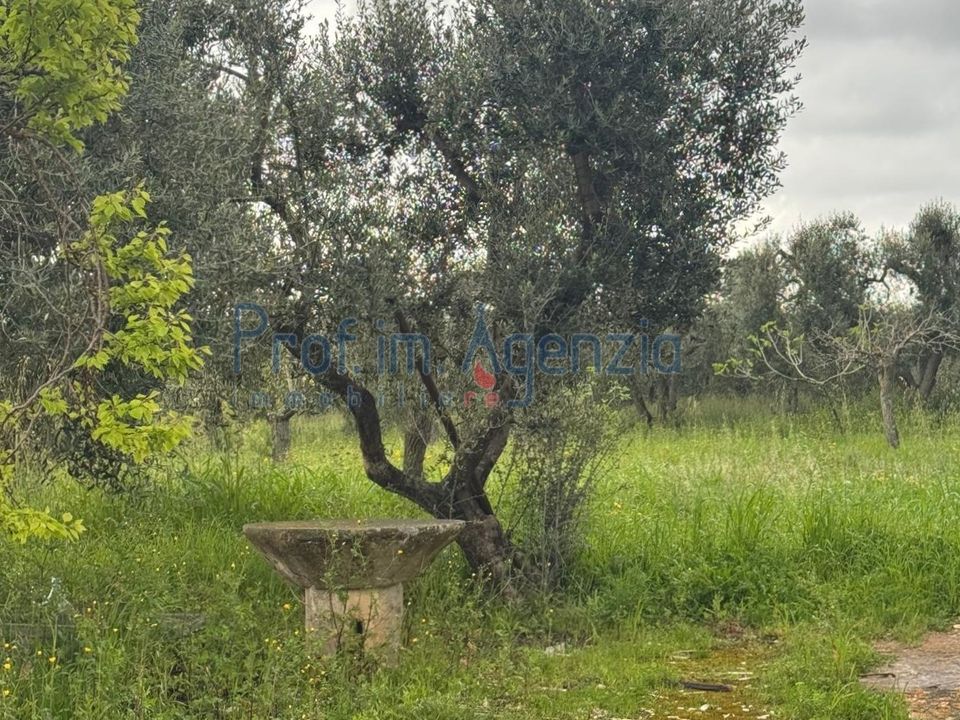 Farm hus i Ostuni, Brindisi - foto 5